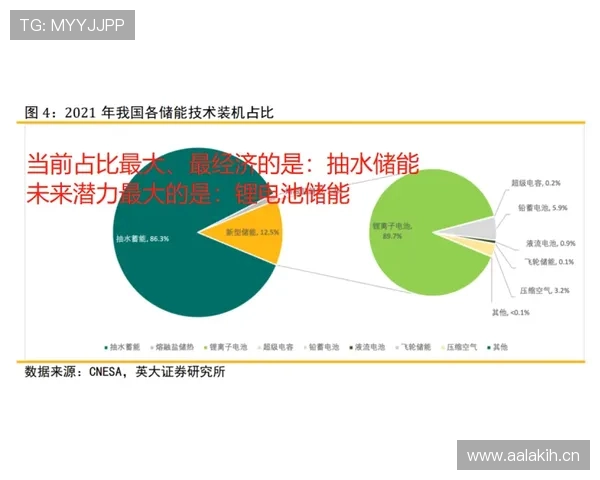 帕尔默职业生涯上限是否有限？发展潜力与兑现空间分析